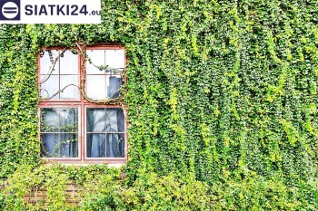 Siatki Skarżysko-Kamienna - Siatka z dużym oczkiem - wsparcie dla roślin pnących na altance, domu i garażu dla terenów Skarżysko-Kamienna
