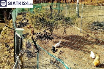 Siatki Skarżysko-Kamienna - Siatka na woliery - zabezpieczenia ptaków w hodowli dla terenów Skarżysko-Kamienna